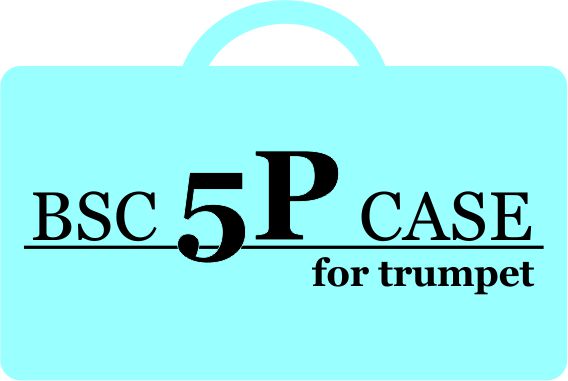 Brass Sound Creation BSC 3P CASE